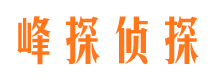 塔河外遇调查取证